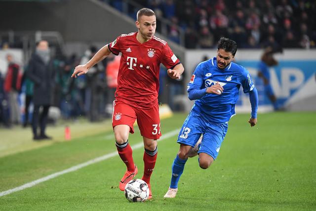 引发众怒，电讯报：摩洛哥为承办国际赛事大规模捕杀流浪狗